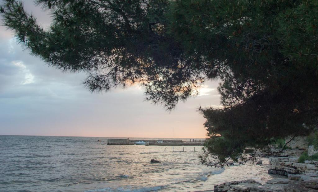 Apartments Villa Stapo Umag Exterior foto